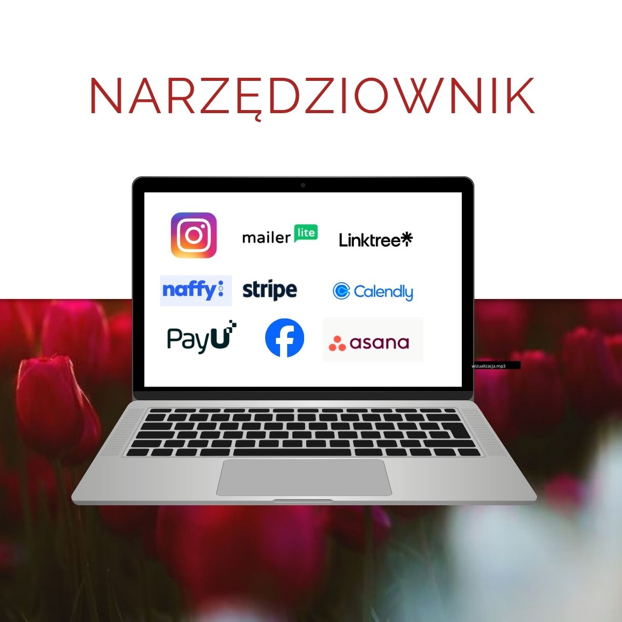 Narzędziownik